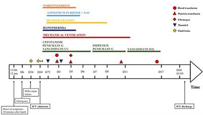 Multi-organ failure caused by lasagnas: A case report of Bacillus cereus food poisoning